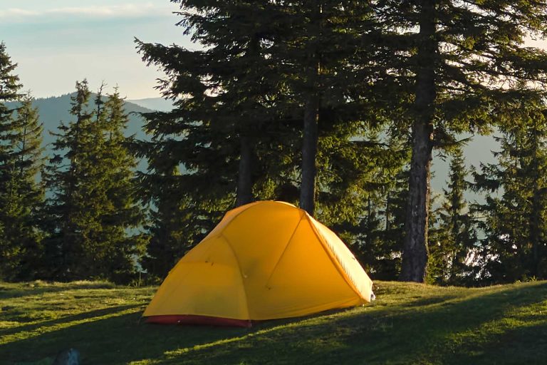 Camino de Santiago «familiar» 2024