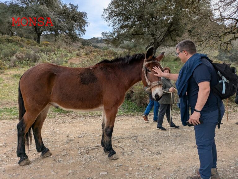 Publicado el álbum de fotos de la acampada en Cortes de la Fra..