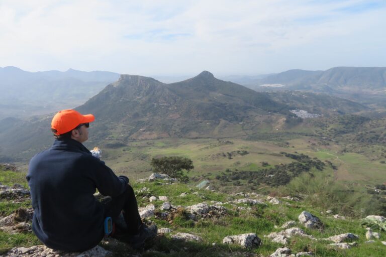 Saltamontes para el curso 25/26